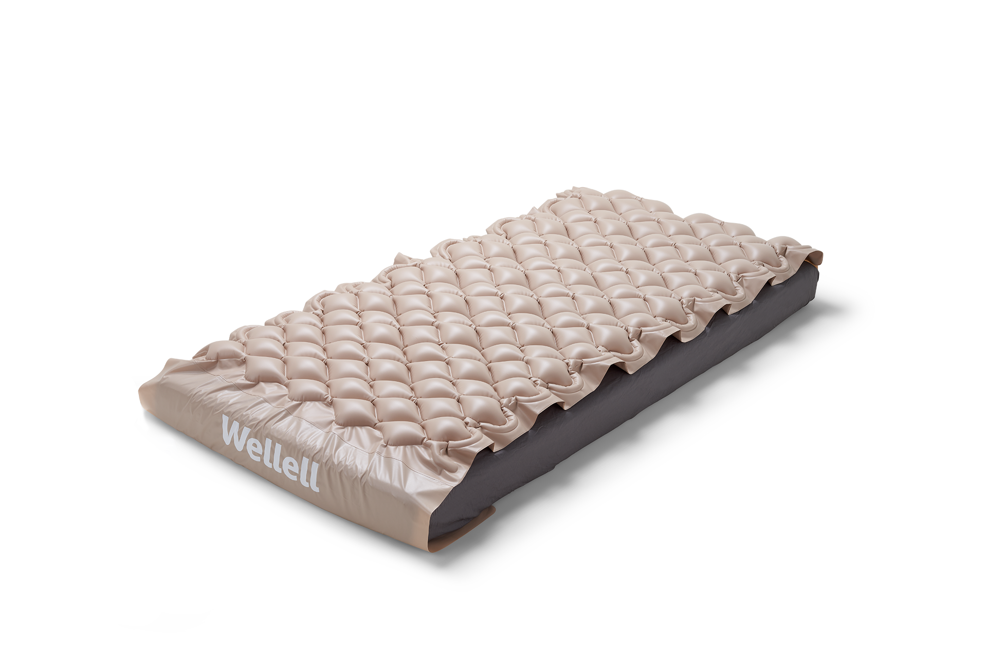 Domus 1 and 2 clinical setup